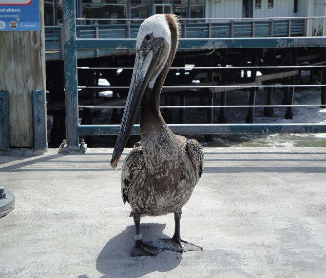 Redondo Beach
