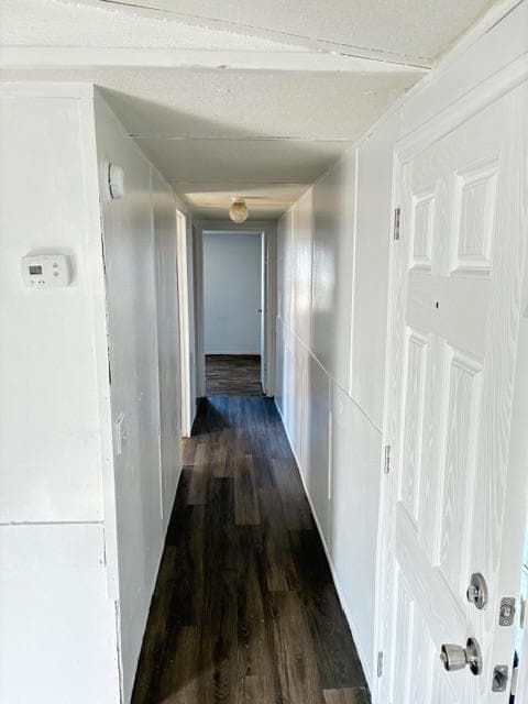 Foto del edificio - 2315 Wysteria Ln