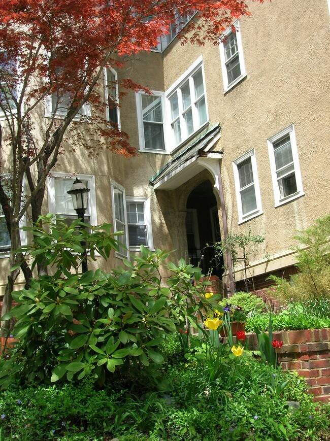 7 Linnaean St Unit 5, Cambridge, MA 02138 Condo for Rent in Cambridge
