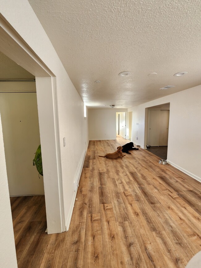 Front Door and long Living Room - 2038 Eaton St