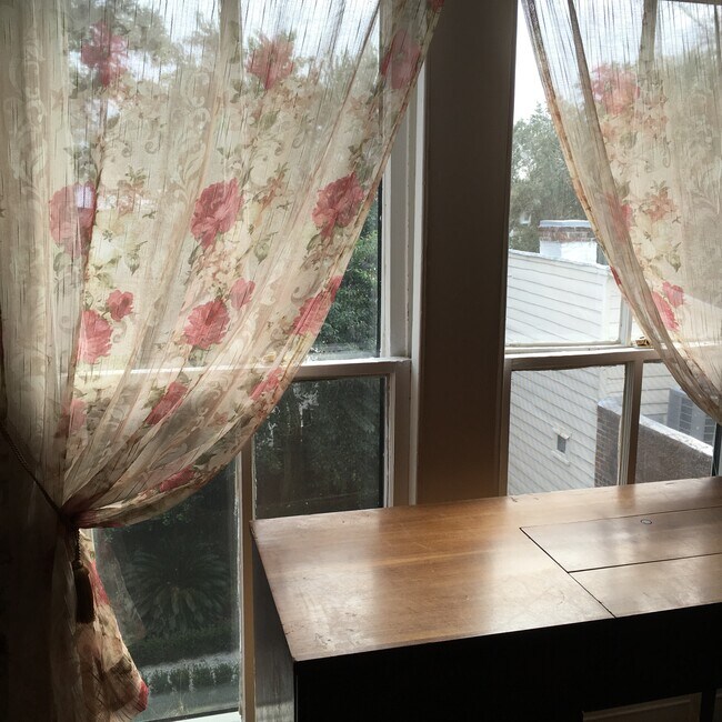 Widow overlooking garden - 165 Broad St