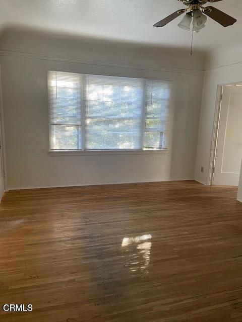 Building Photo - 772 Poli St