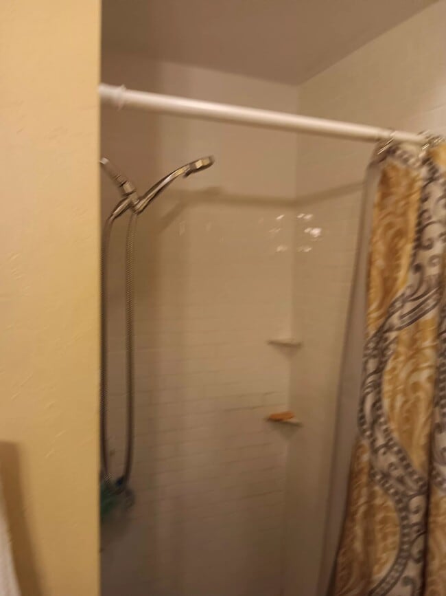 1st floor bathroom - 2016 N 12th St