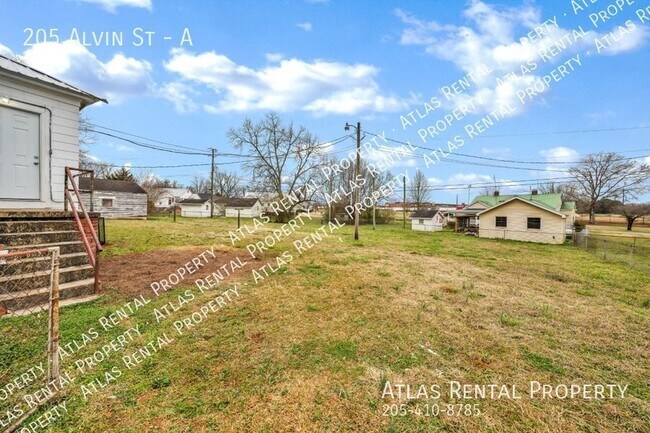 Building Photo - 205 Alvin St