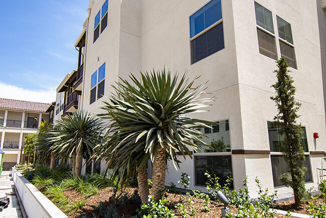 Courtyard Landscaping - Veterans Park Apartments