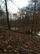 Foto principal - 17304 Cussewago Rd