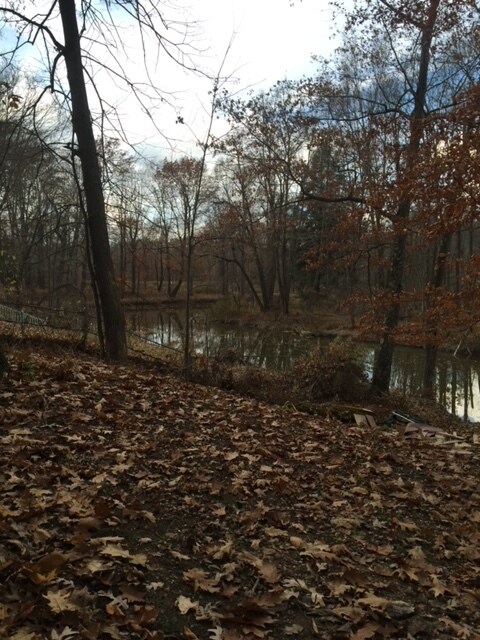 Foto principal - 17304 Cussewago Rd