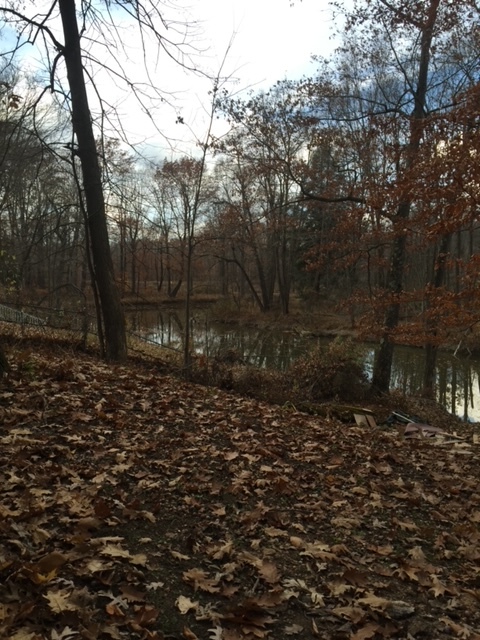 Primary Photo - 17304 Cussewago Rd
