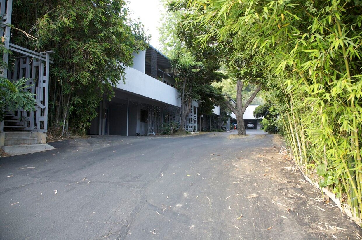 Primary Photo - 317 Monterey Rd
