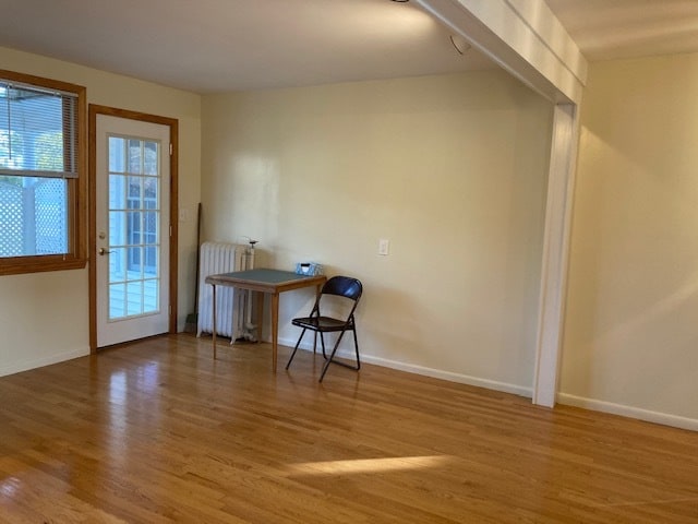 Back of Kitchen - 116 Locust St