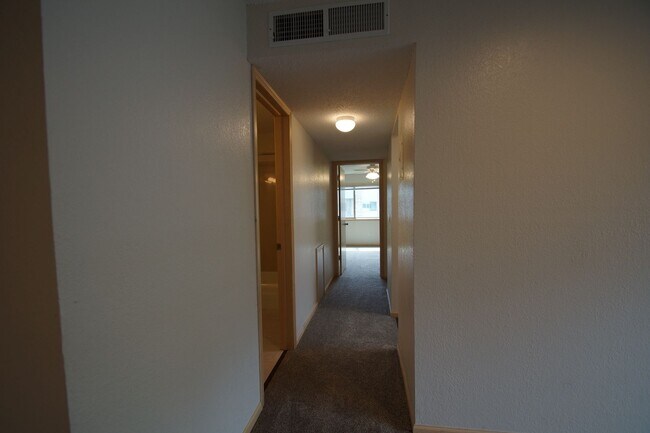 Foto del edificio - Fully Renovated Appaloosa Suite