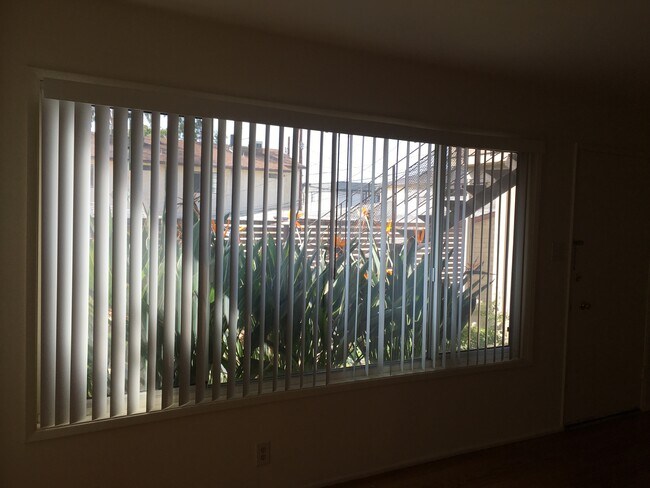 Living Room - 611 E San Jose Ave