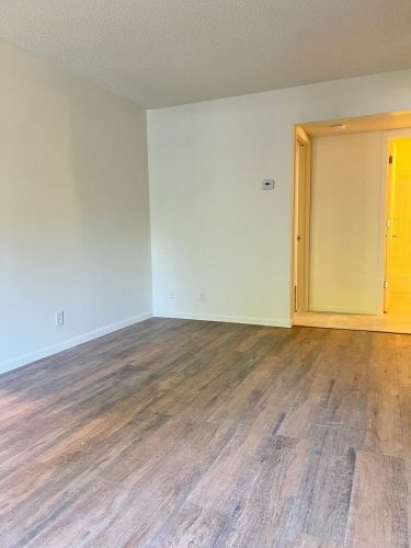 Building Photo - 2303 Sears Ct