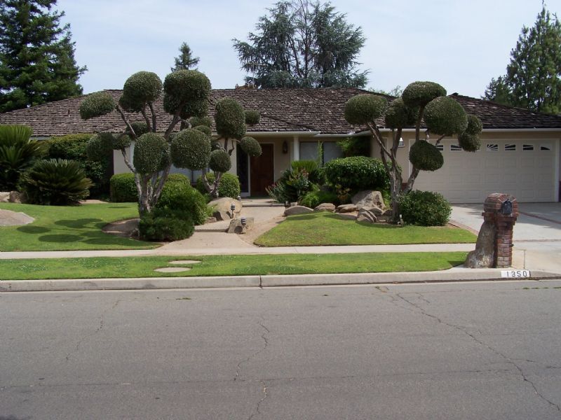 Primary Photo - Nice mature landscaping, cool quite home