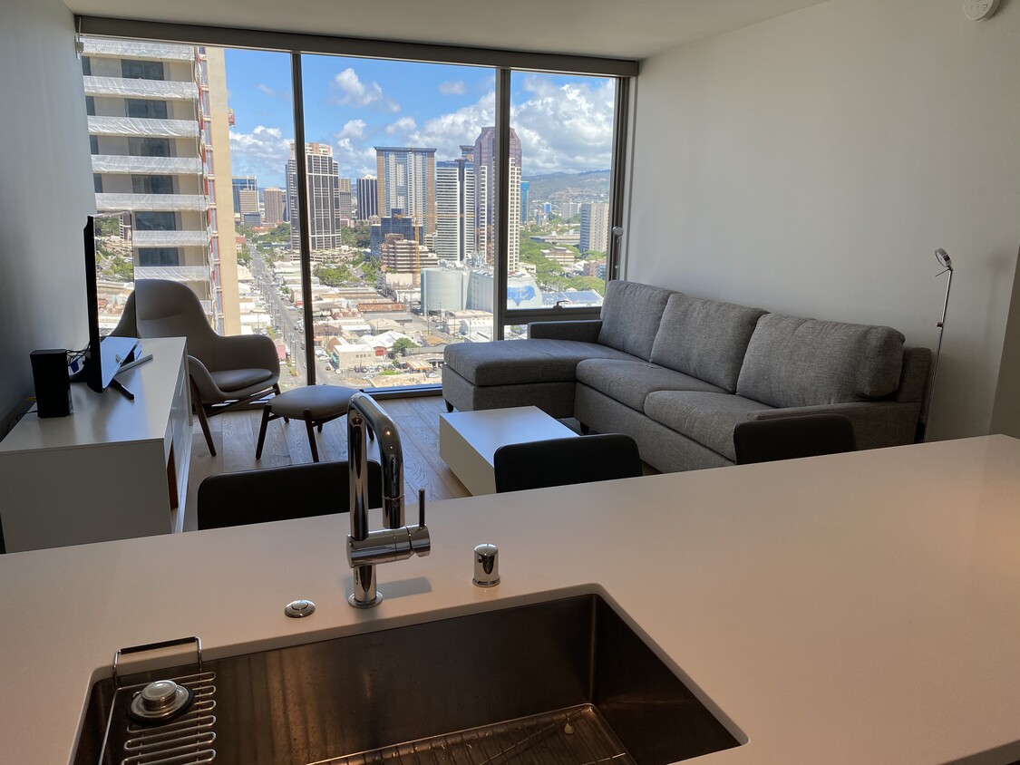 Living Room and Kitchen Counter - 1001 Queen St