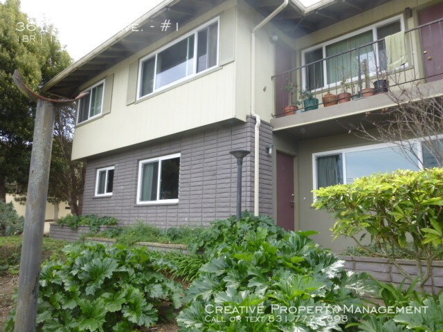 Primary Photo - 1 Bedroom Apartment in Pacific Grove, Ca