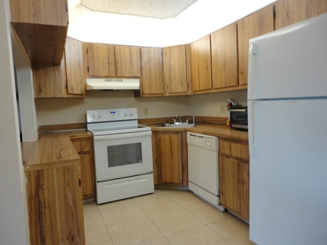 Foto del edificio - 523 Shady Pine Way