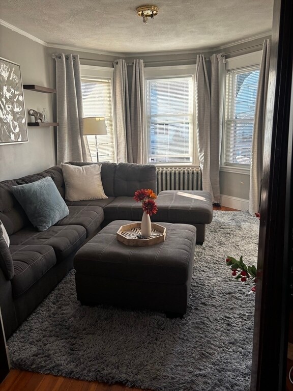 Foto del edificio - 21 Walter St