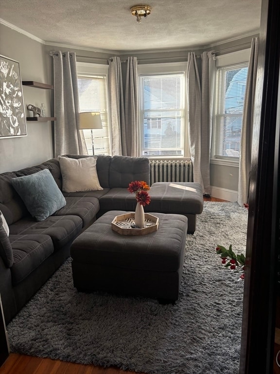 Building Photo - 21 Walter St