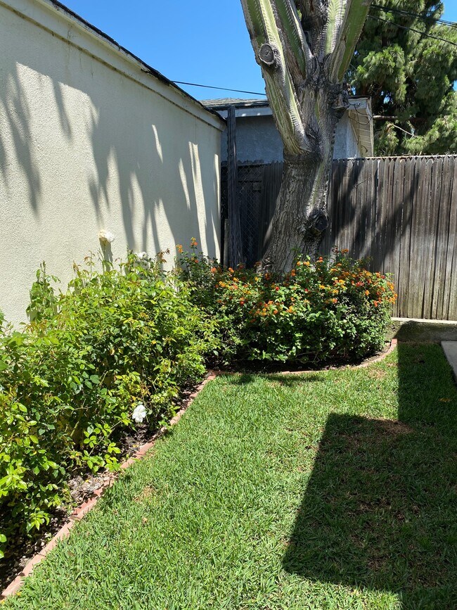 Gated Private Yard - 5042 Sawtelle Blvd