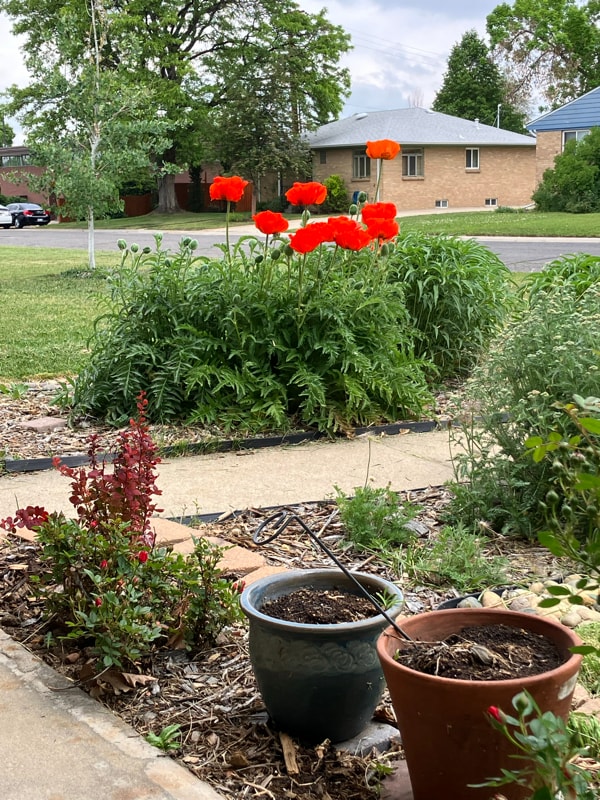 Foto del edificio - 5735 Everett St