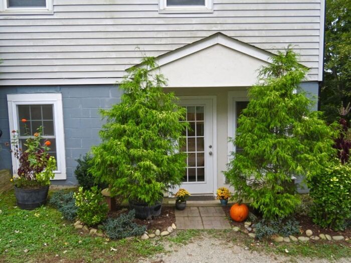 Foto principal - Charming West Asheville Basement Apartment