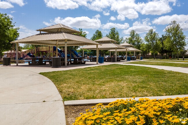 There are colorful Flowers in Pasa Tiempo Park of Clovis.