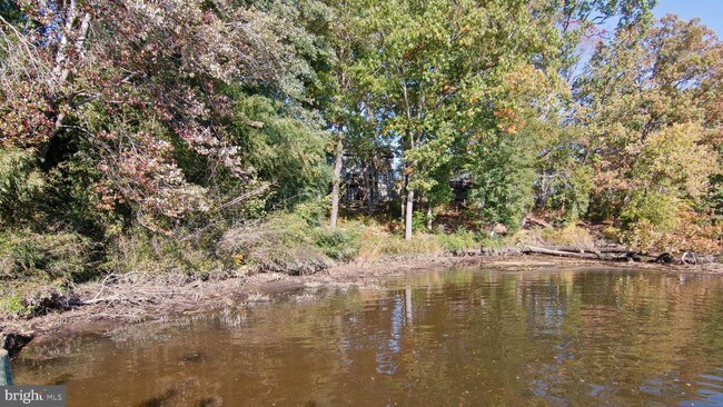 Foto del edificio - 14 Mattawoman Ct