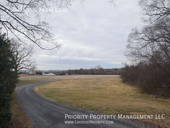 Foto del edificio - 215 Massie Farm Ln