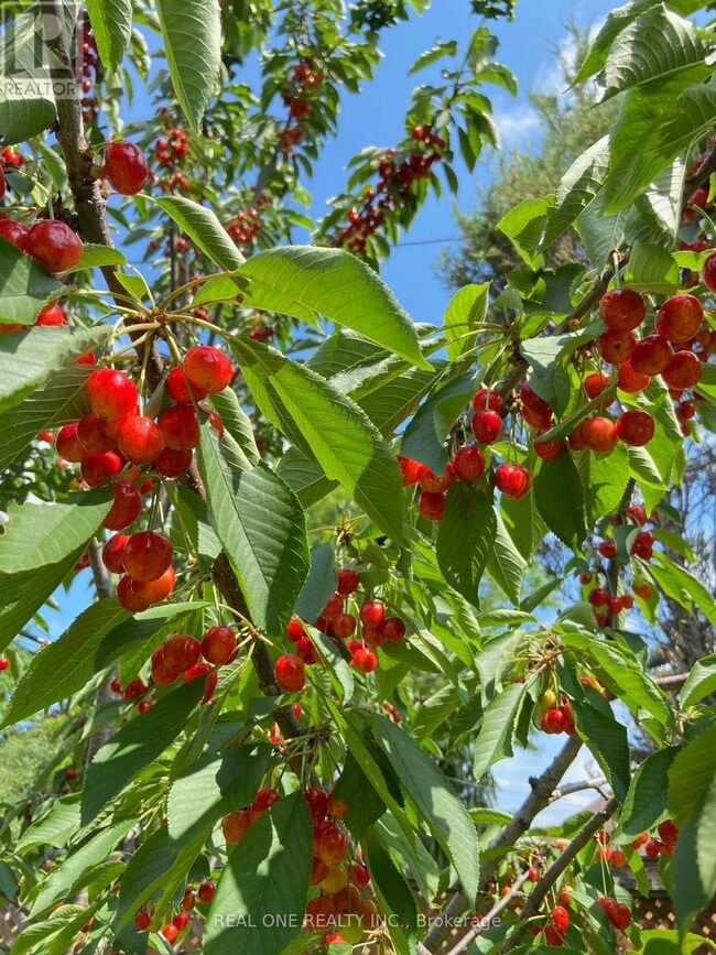 Building Photo - 22 Princeway Dr