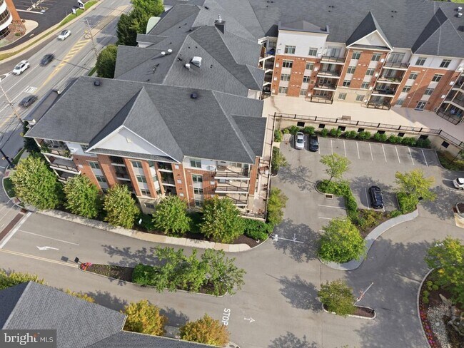 Building Photo - 301 Carson Terrace