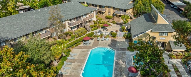 Exterior de la propiedad - Piscina comunitaria - Almaden