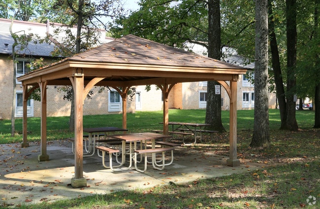 Área de picnic y parrillas - Potomac Ridge Apartments