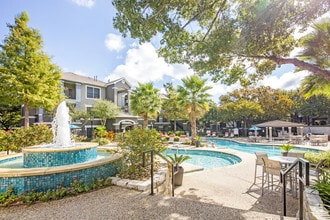 Swimming pool with water feature surrounded by lush landscape - Nolina Flats