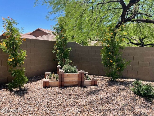 Foto del edificio - 39816 N Bridlewood Way