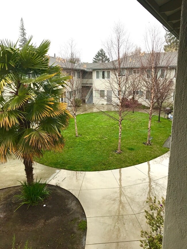 Our courtyard - 1870 Valota Rd