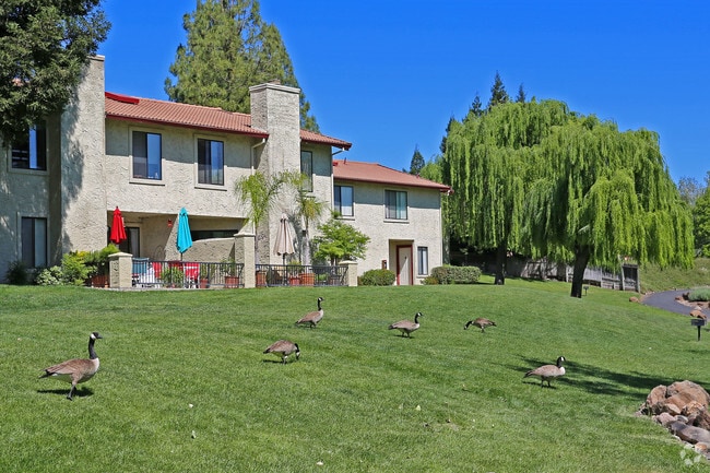 Apartamentos con vista al lago - Lakeview Apartments