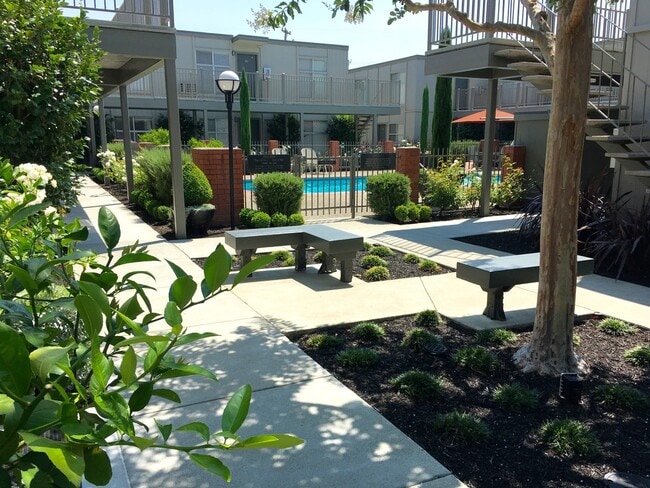 Kathleen Courtyard - Olive Tree Apartments