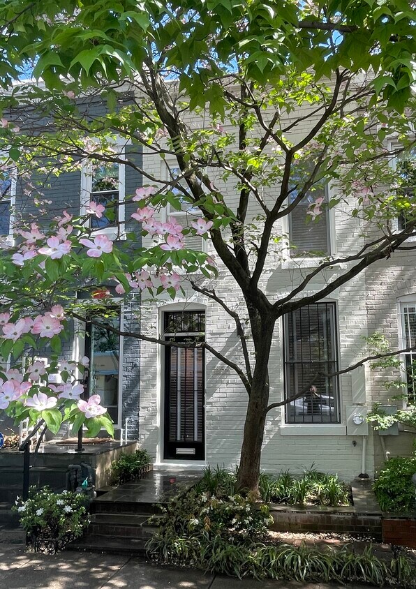 Primary Photo - 1658 Kalorama Rd NW