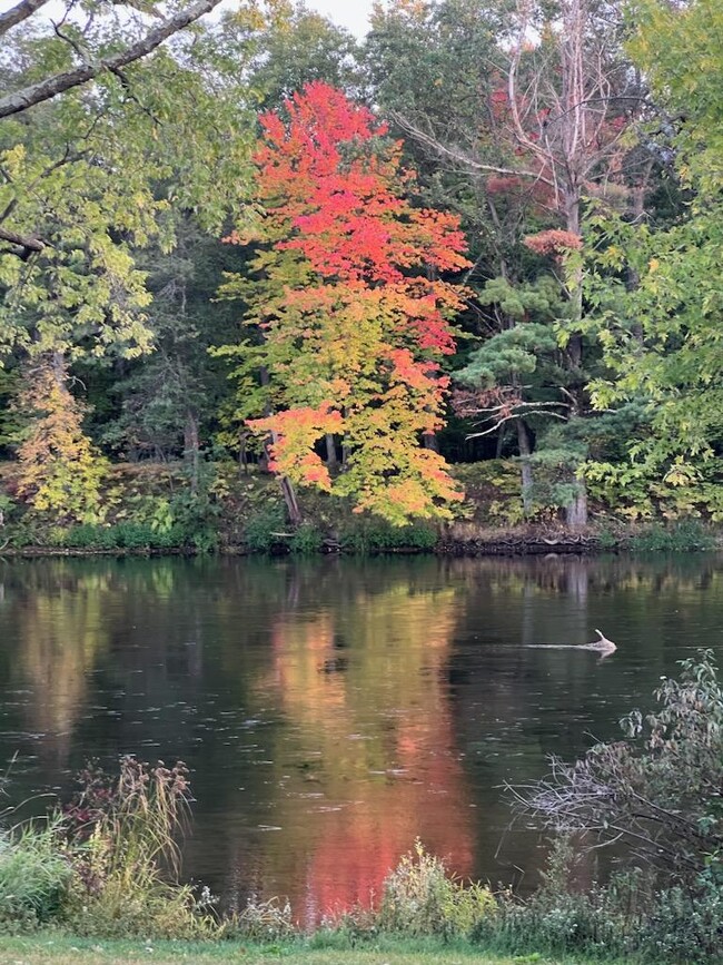 View of the river in front of the house - 2023 10th Ave