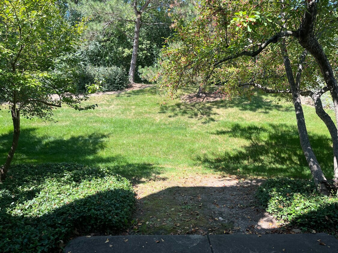 Foto principal - 378 White Oak Ln