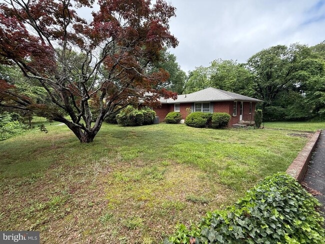 Building Photo - 117 Courtland Dr