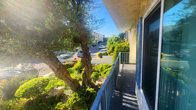 Foto del edificio - 1246 Brockton Ave