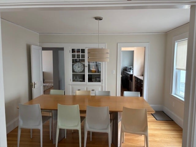 Building Photo - 16 Theurer Park