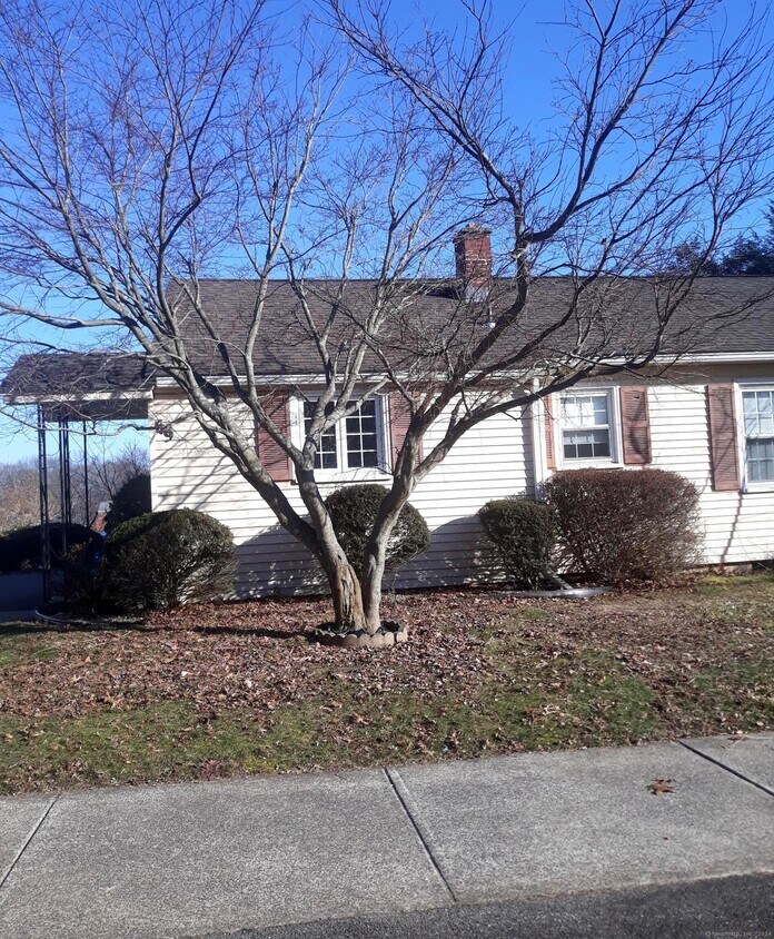 Primary Photo - 69 Willow Rd