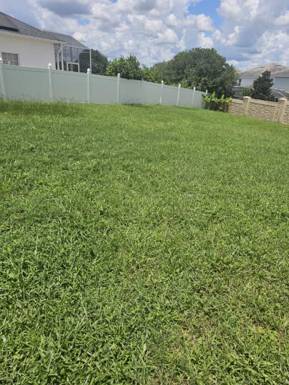 Foto del edificio - 155 Sela Ct