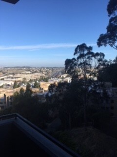 Balcony - 555 Pierce St