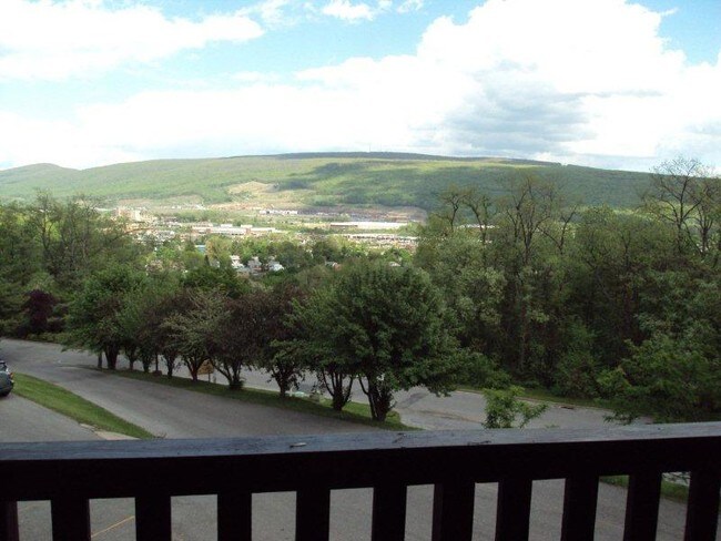 Vista desde el balcón - 210 Ridge Ave