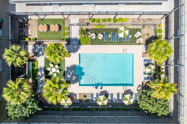 Resort-Style Swimming Pool - The 89 on Hayden