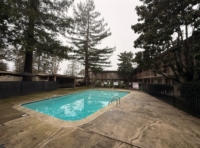 Foto del edificio - 2066 Mendocino Ave